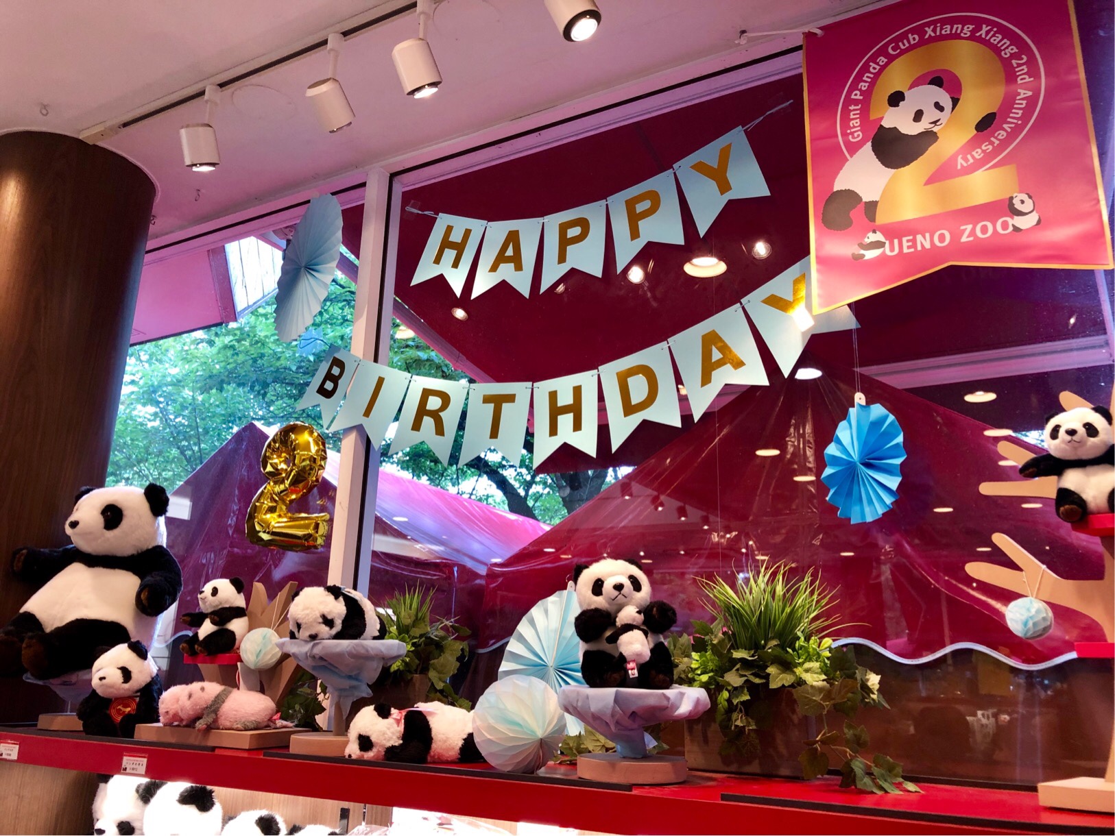 祝2歳！！世界一かわいいパンダ、香香（シャンシャン）のお誕生日☆in上野動物園。